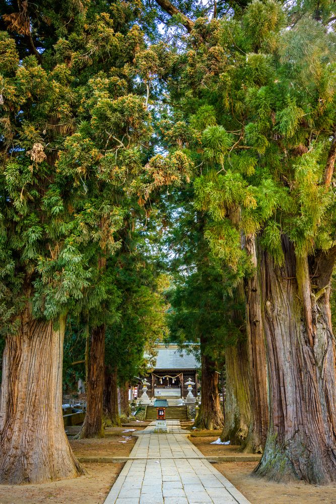 河口浅間神社の画像 - 3枚目
