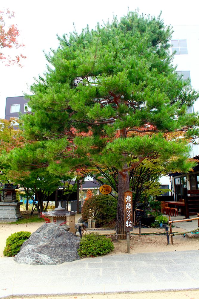 四柱神社の画像 - 6枚目