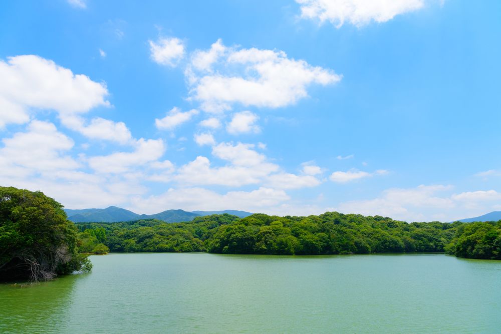 篠栗九大の森の画像 - 2枚目