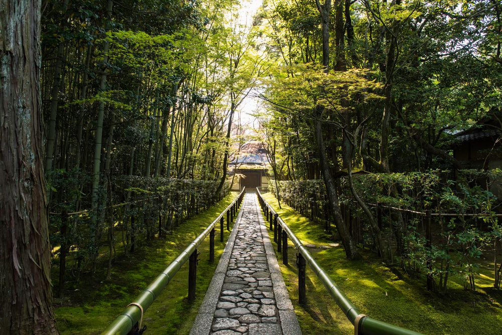 【拝観休止中】大徳寺 高桐院の画像 - 3枚目