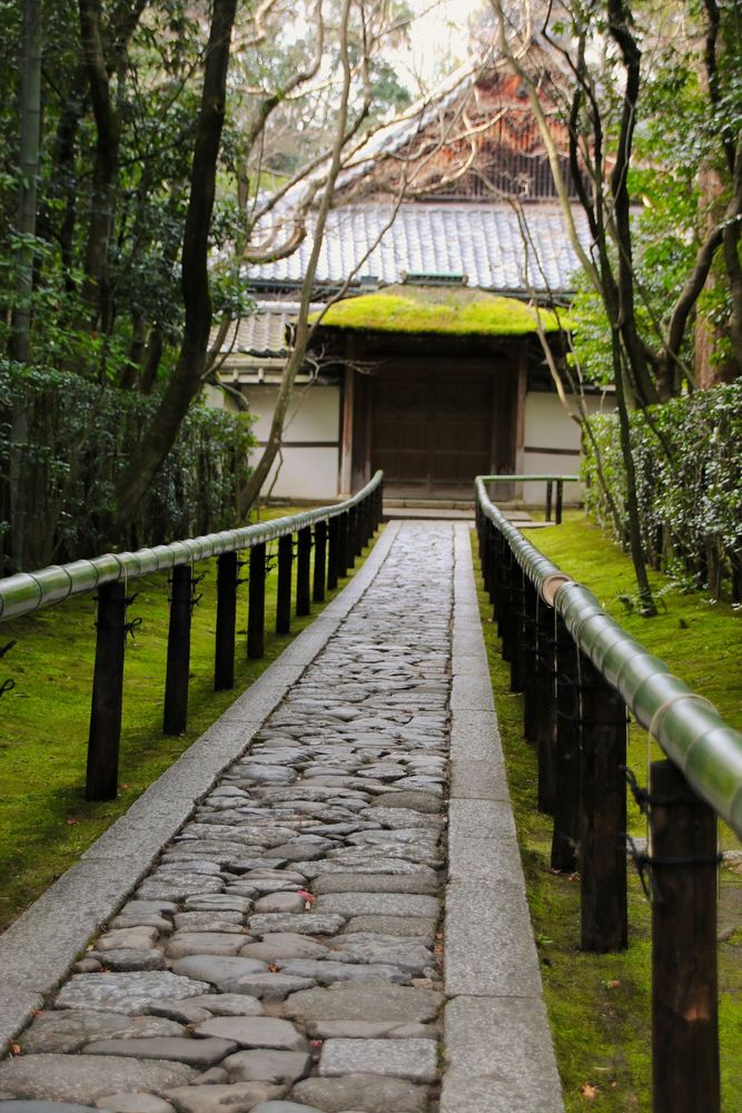 拝観休止中】大徳寺 高桐院】の周辺スポット・アクセス・口コミ