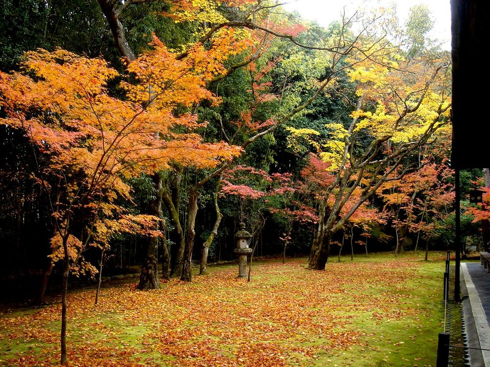 【拝観休止中】大徳寺 高桐院