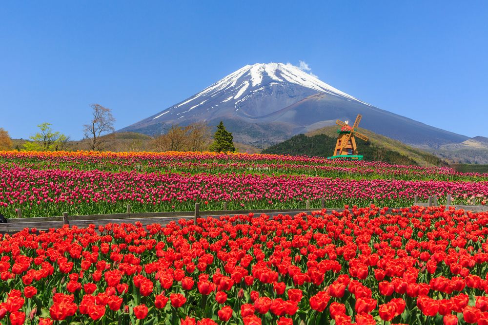 遊園地ぐりんぱの画像 - 2枚目