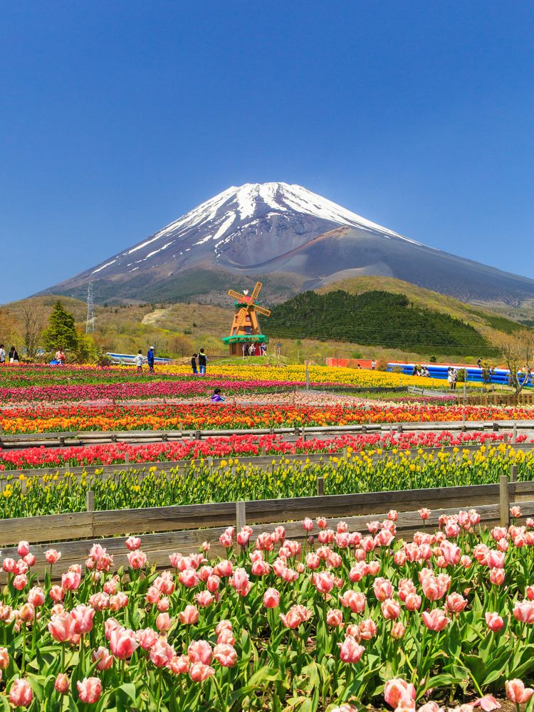 遊園地ぐりんぱの画像 - 3枚目