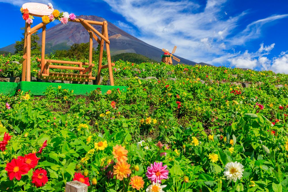遊園地ぐりんぱの画像 - 4枚目