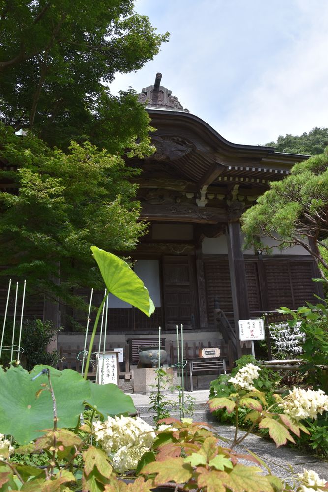 妙法寺の画像 - 3枚目