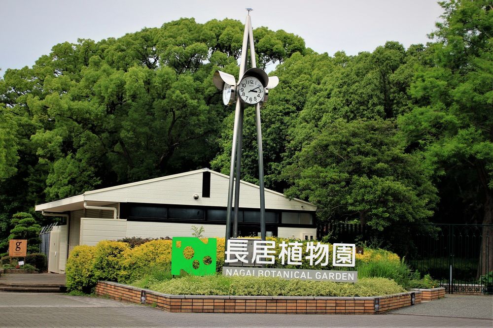 長居植物園の画像 - 5枚目