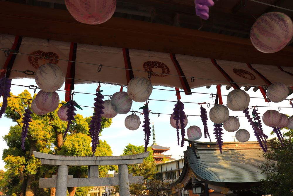春日神社の画像 - 3枚目