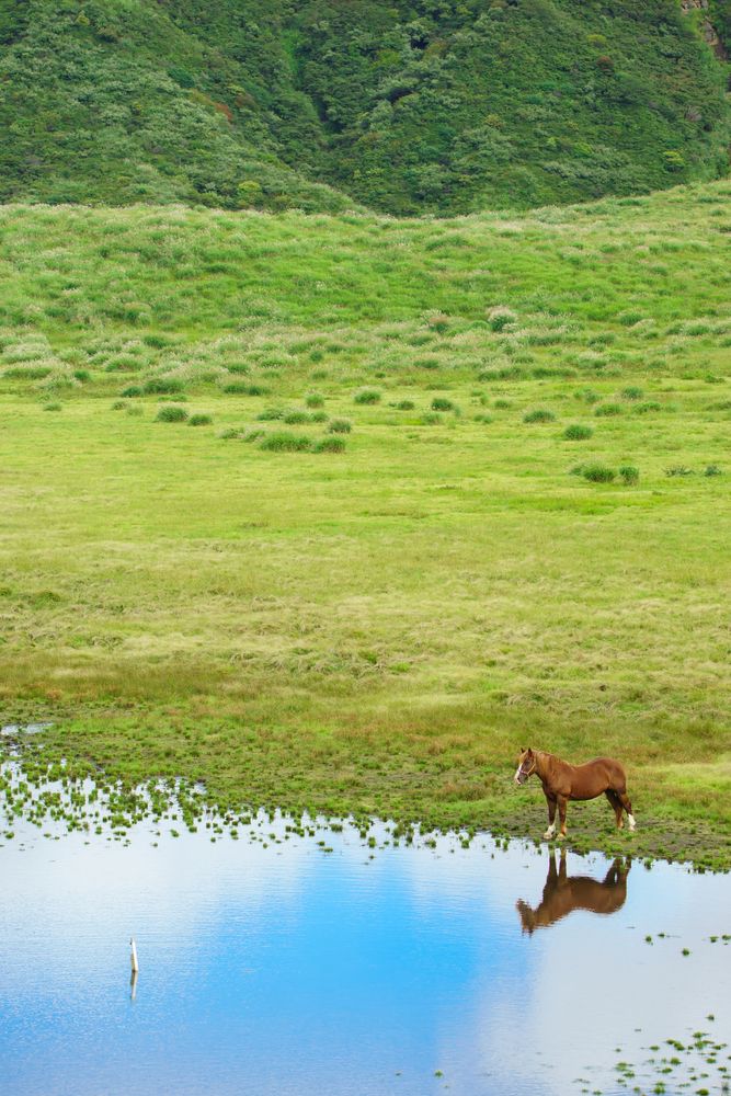 草千里ヶ浜の画像 - 2枚目