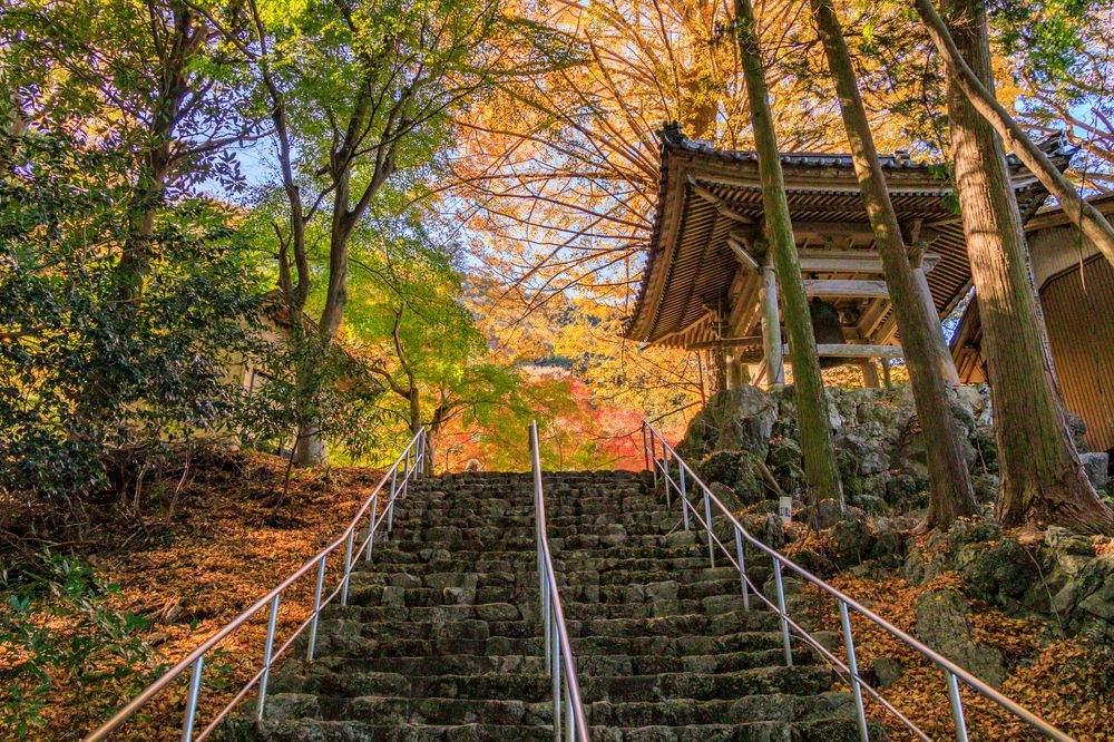 聖宝寺の画像 - 2枚目