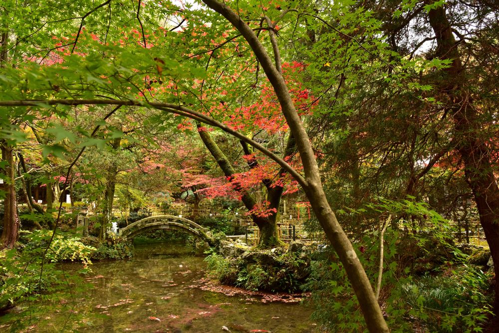聖宝寺の画像 - 3枚目