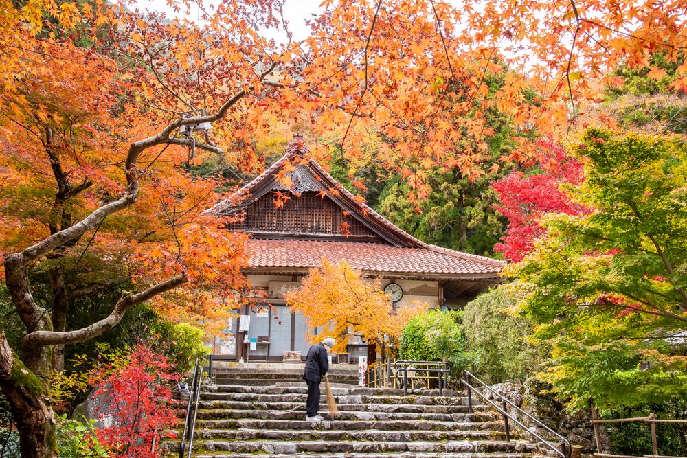 聖宝寺の画像 - 4枚目