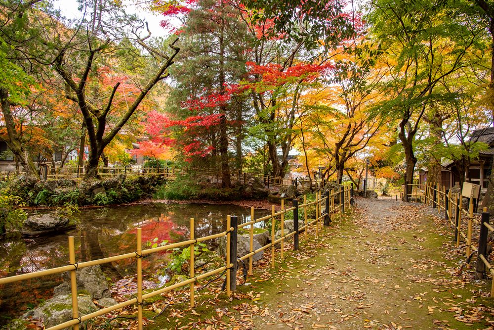 聖宝寺の画像 - 5枚目