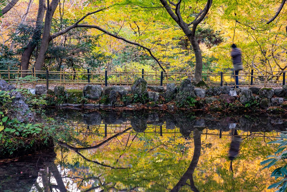 聖宝寺の画像 - 6枚目