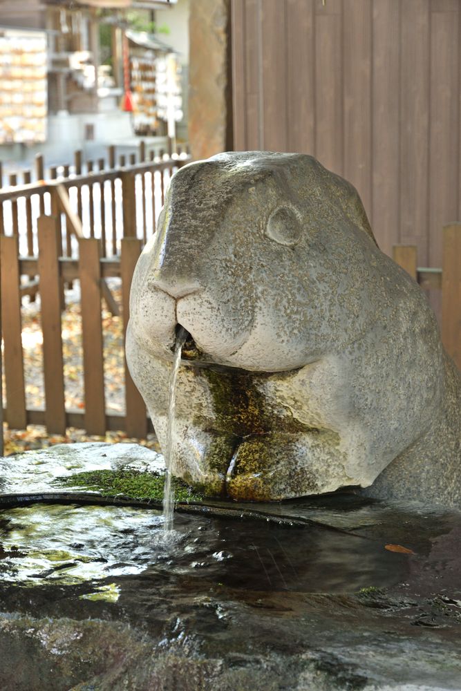 調神社の画像 - 5枚目