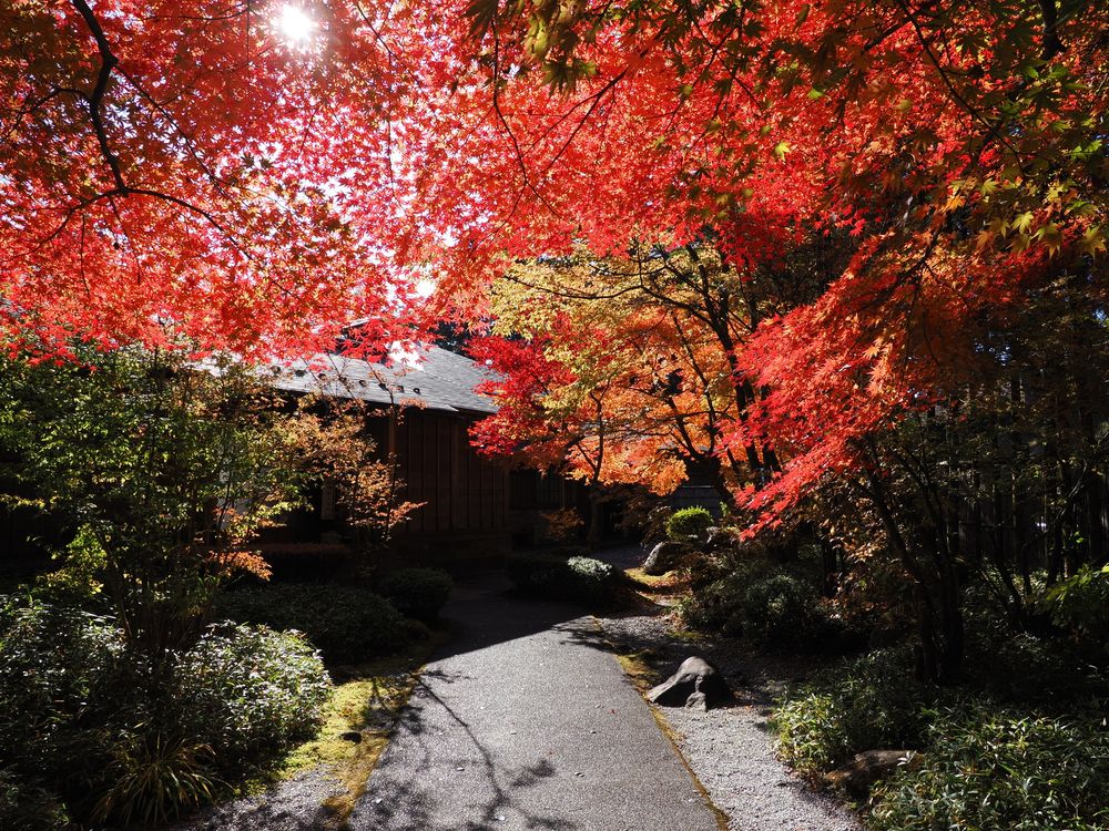 日光田母沢御用邸記念公園の画像 - 2枚目