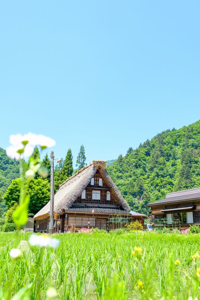 菅沼合掌造り集落（白川郷）の画像 - 4枚目