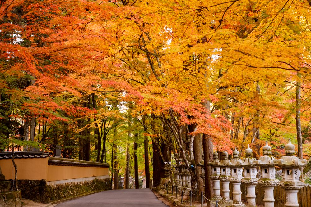 佛通寺の画像 - 2枚目