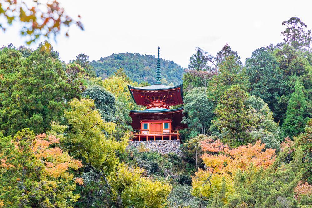 佛通寺の画像 - 3枚目