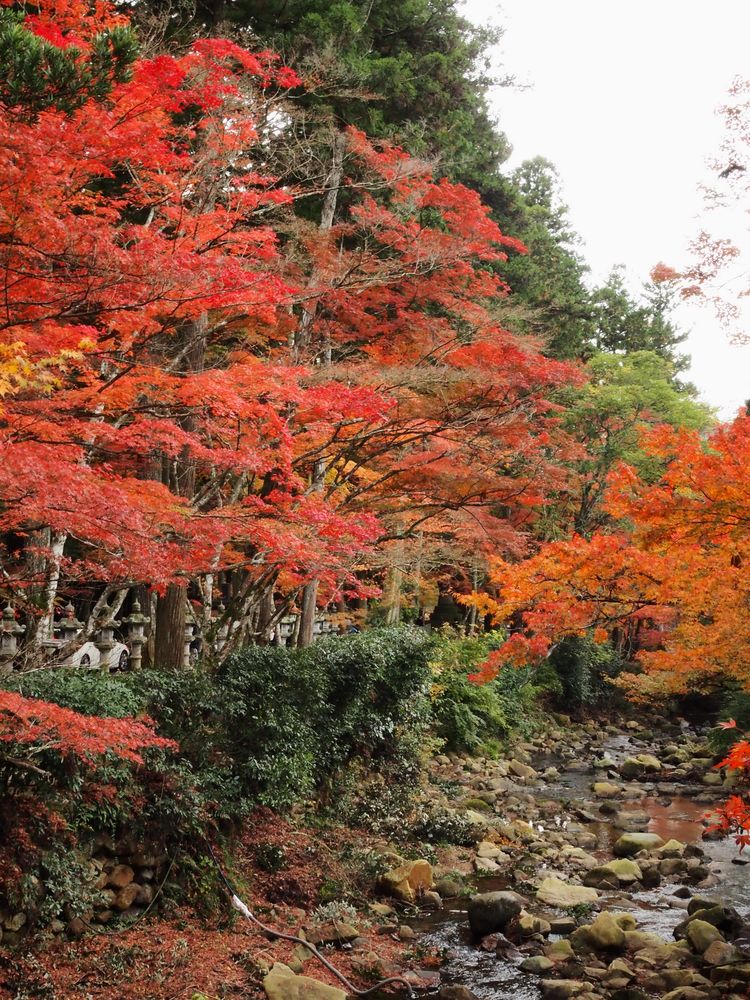 佛通寺の画像 - 5枚目
