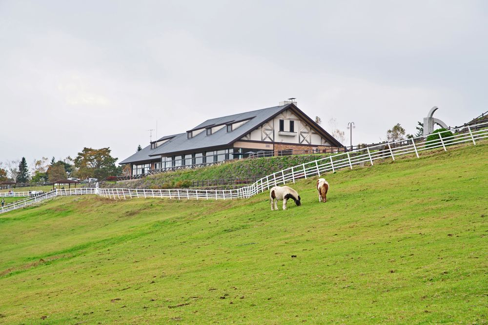 山梨県立まきば公園の画像 - 2枚目