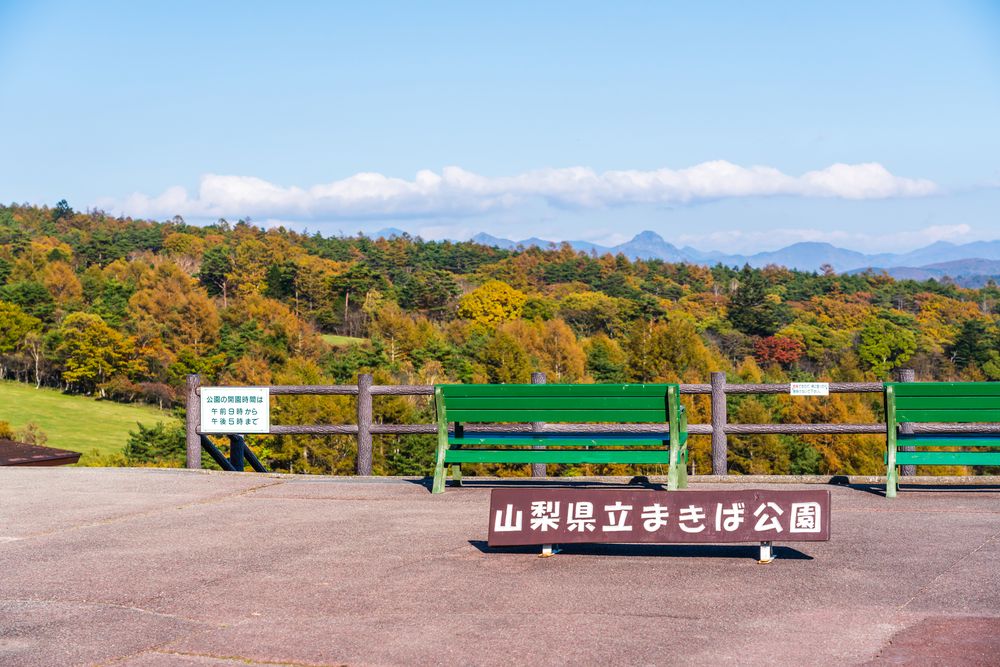 山梨県立まきば公園の画像 - 6枚目