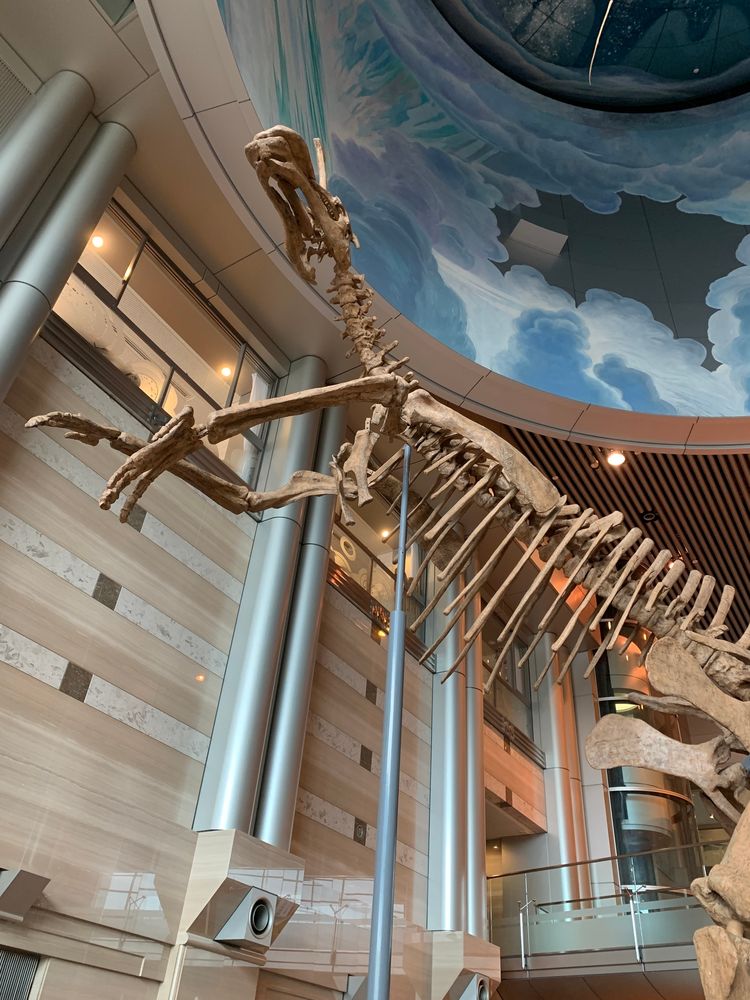 神奈川県立生命の星・地球博物館の画像 - 5枚目