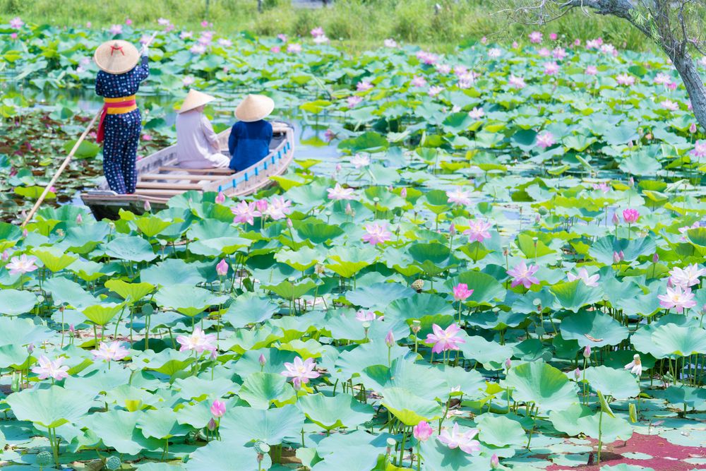 水郷佐原あやめパークの画像 - 2枚目