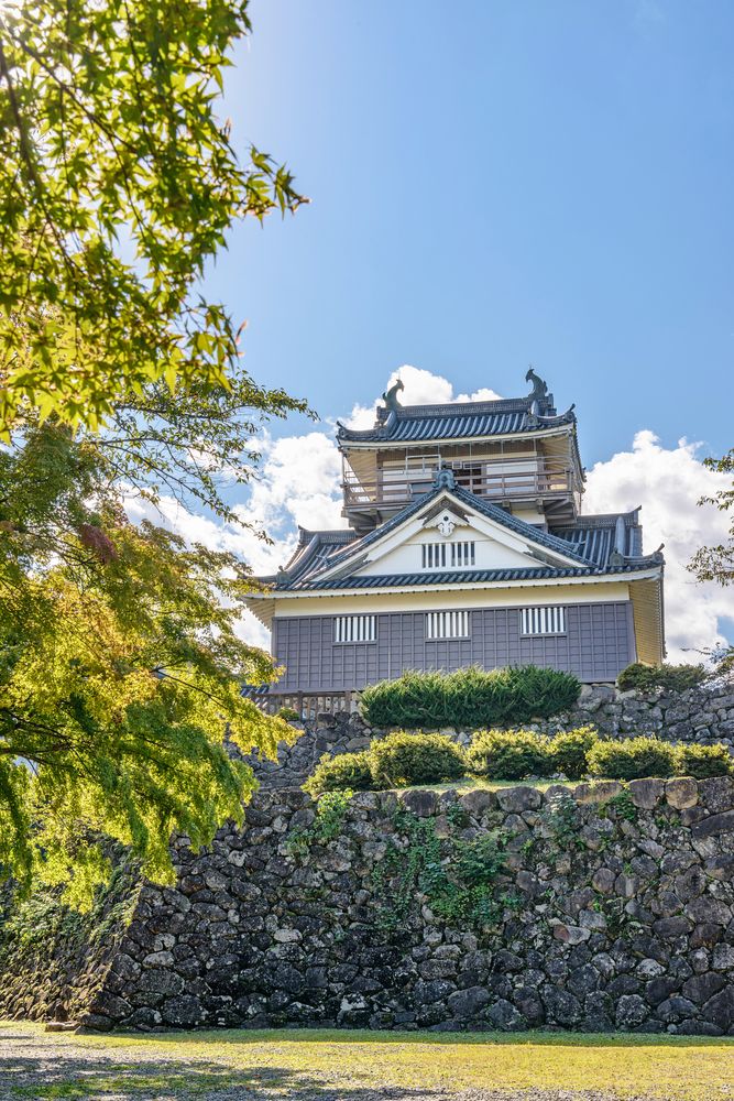 越前大野城の画像 - 2枚目