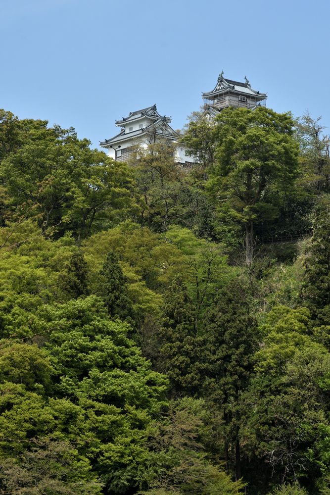越前大野城の画像 - 3枚目