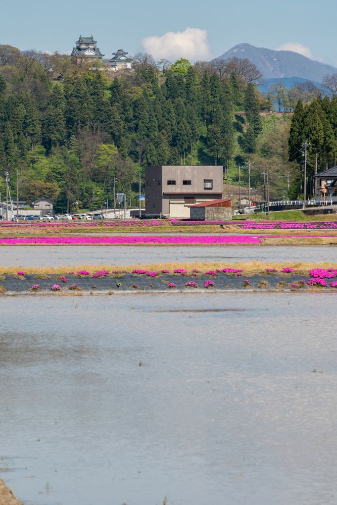 越前大野城の画像 - 4枚目