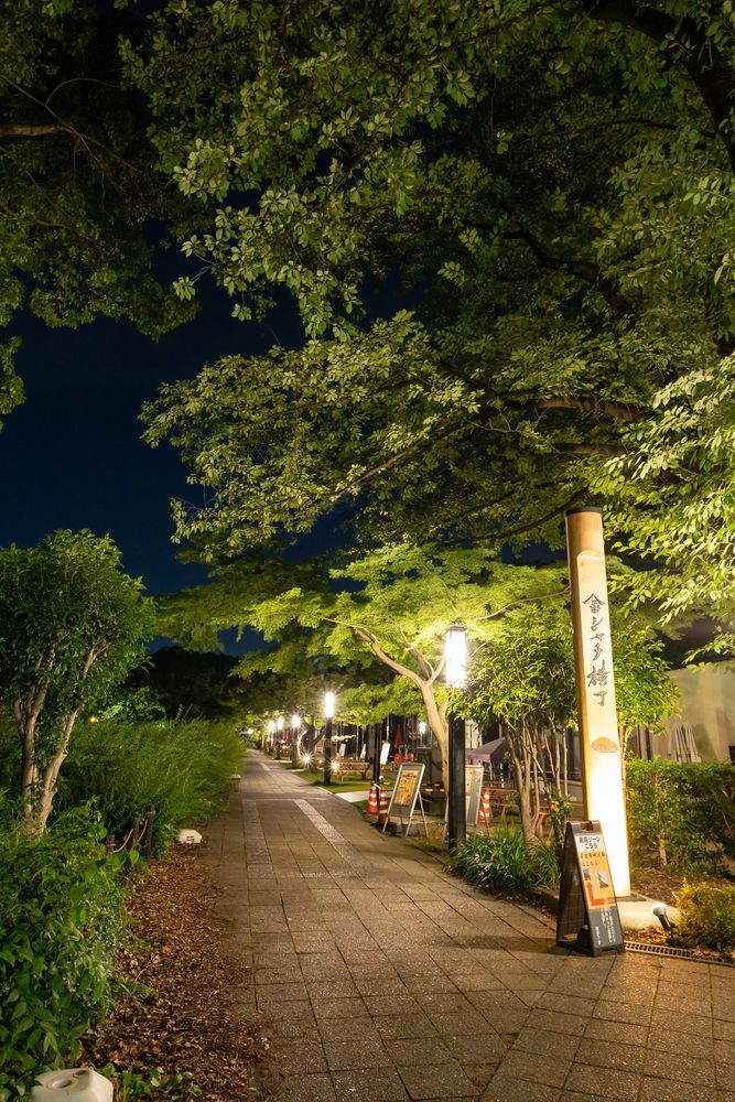 金シャチ横丁(義直ゾーン)の画像 - 5枚目