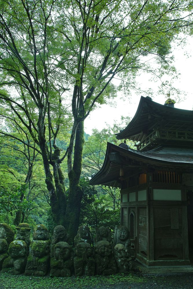 愛宕念仏寺の画像 - 4枚目