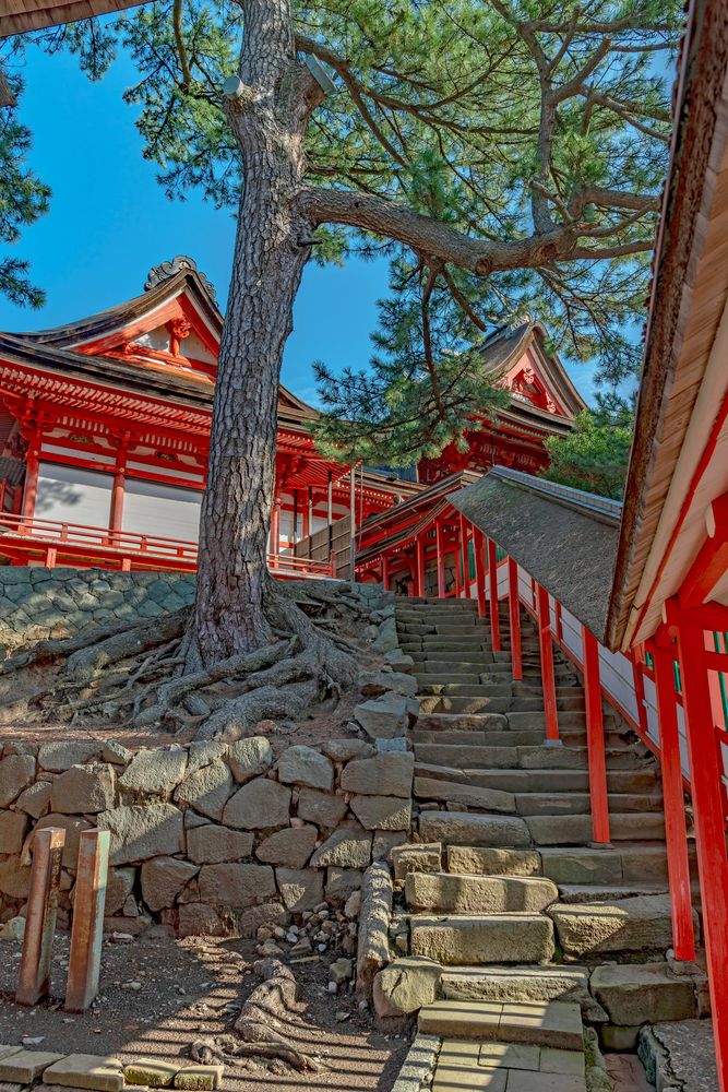 日御碕神社の画像 - 5枚目