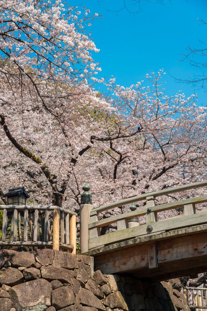 音無親水公園の画像 - 2枚目
