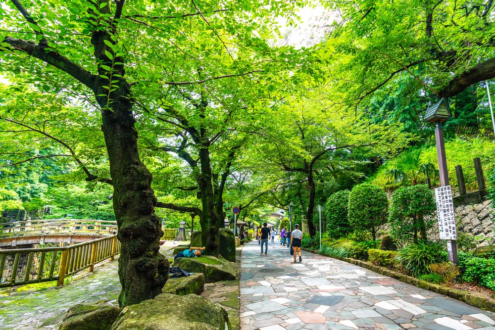 音無親水公園の画像 - 3枚目