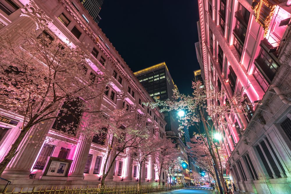 日本橋 さくら通り
