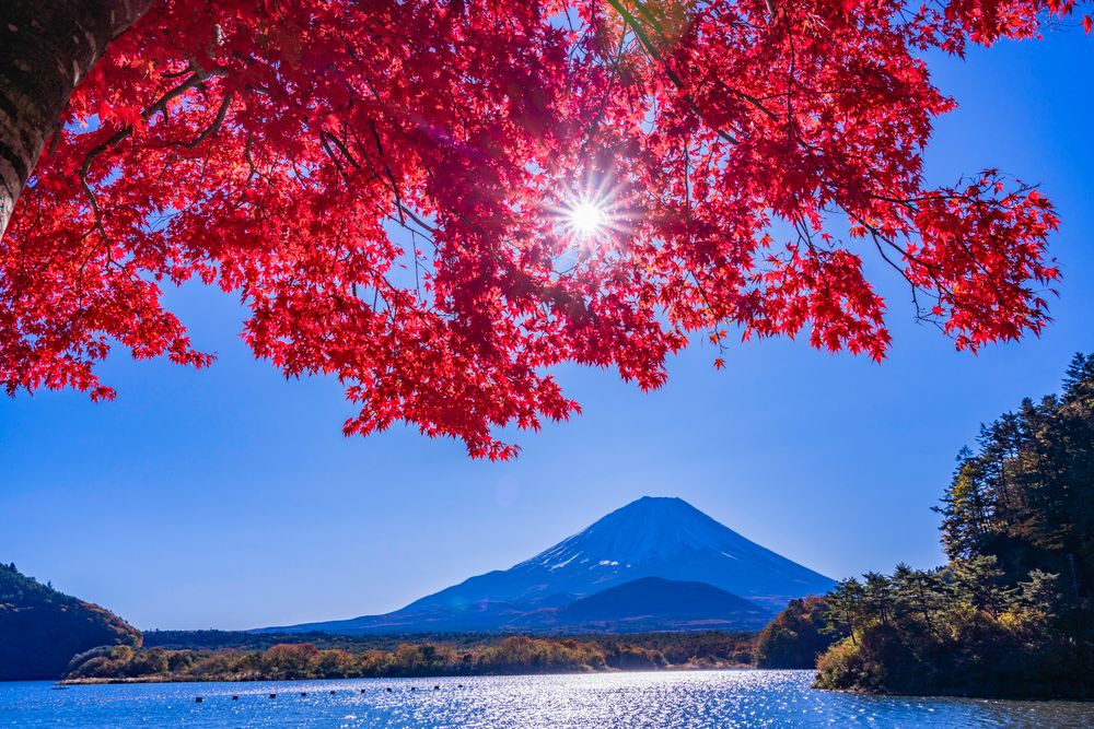 精進湖の画像 - 2枚目