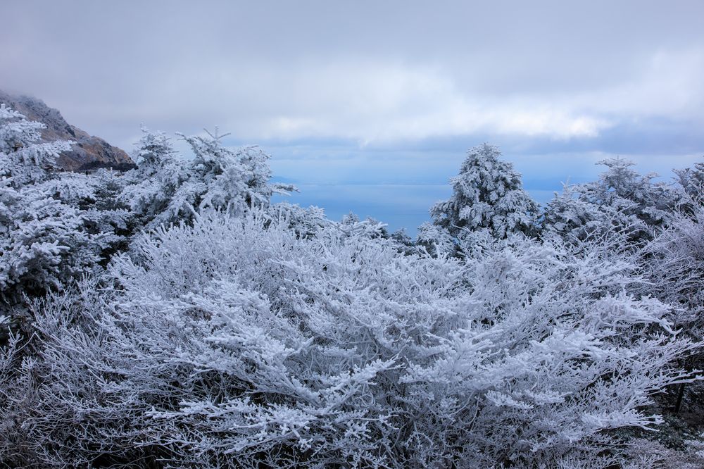 仁田峠展望台の画像 - 2枚目