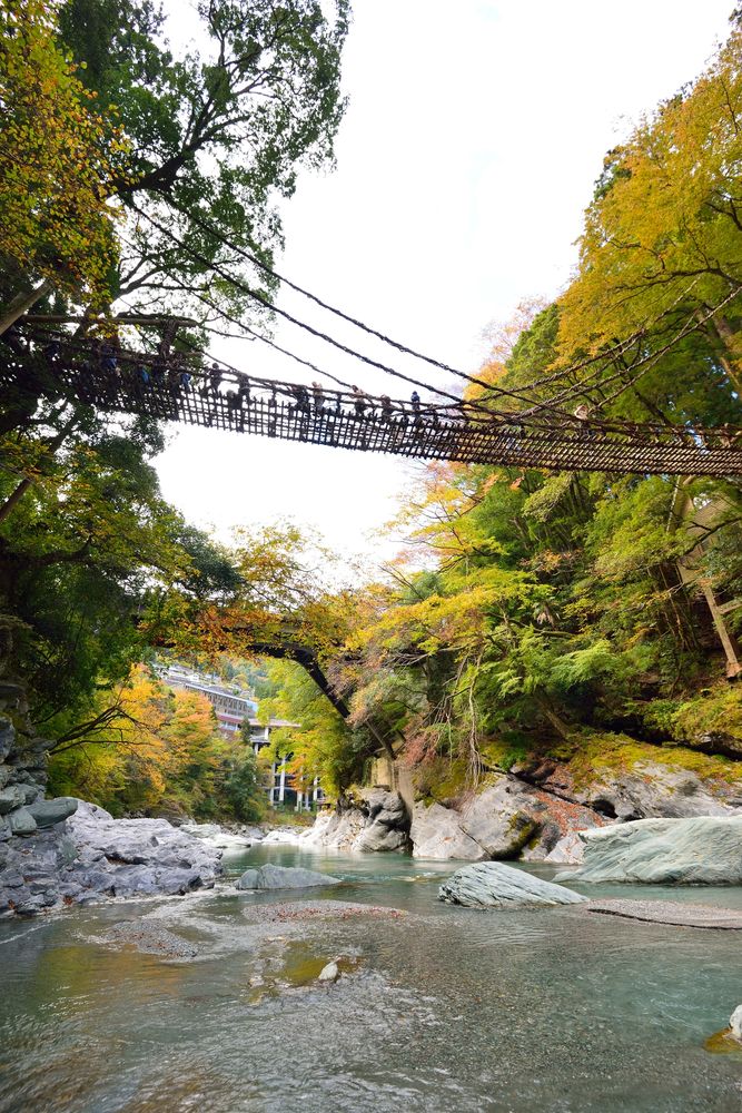 祖谷のかずら橋の画像 - 2枚目