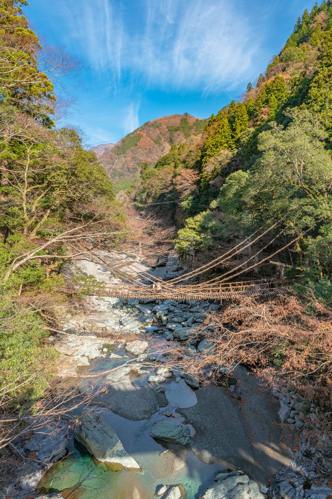祖谷のかずら橋の画像 - 3枚目