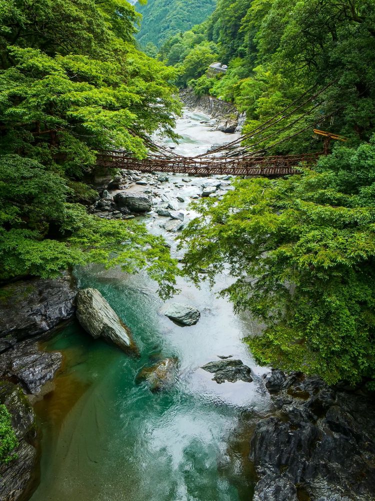 祖谷のかずら橋の画像 - 4枚目