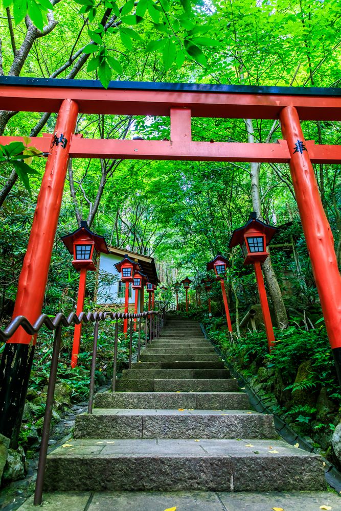 南蔵院の画像 - 3枚目
