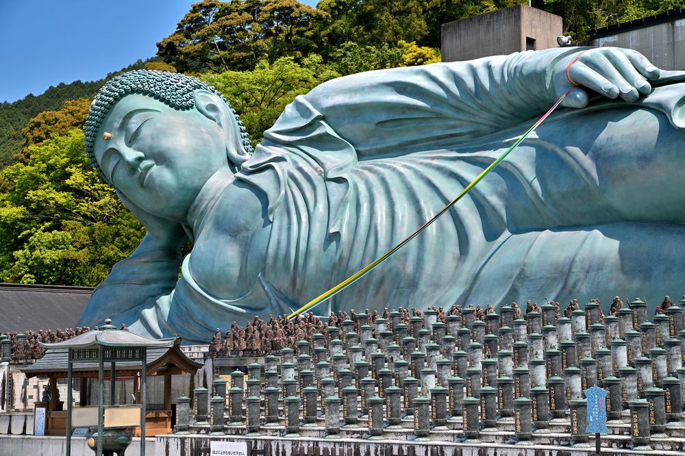 南蔵院の画像 - 7枚目