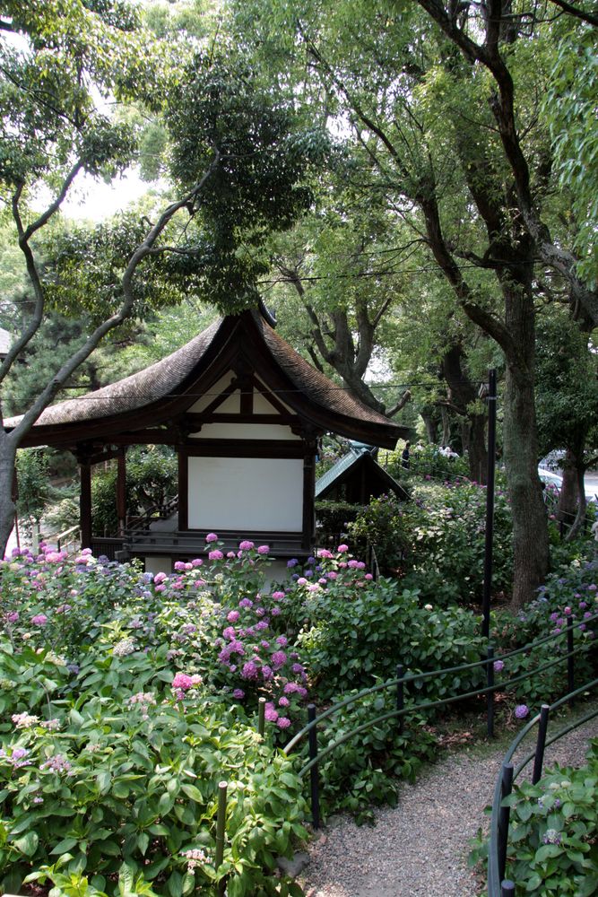 藤森神社の画像 - 2枚目