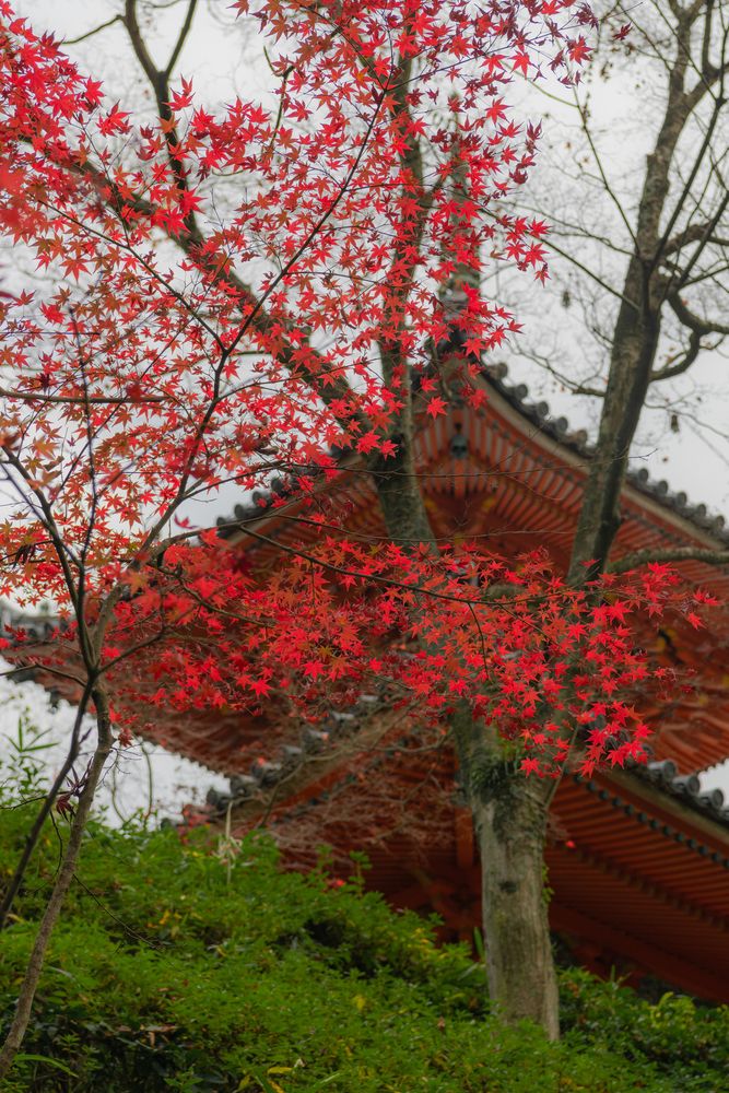 三瀧寺の画像 - 3枚目