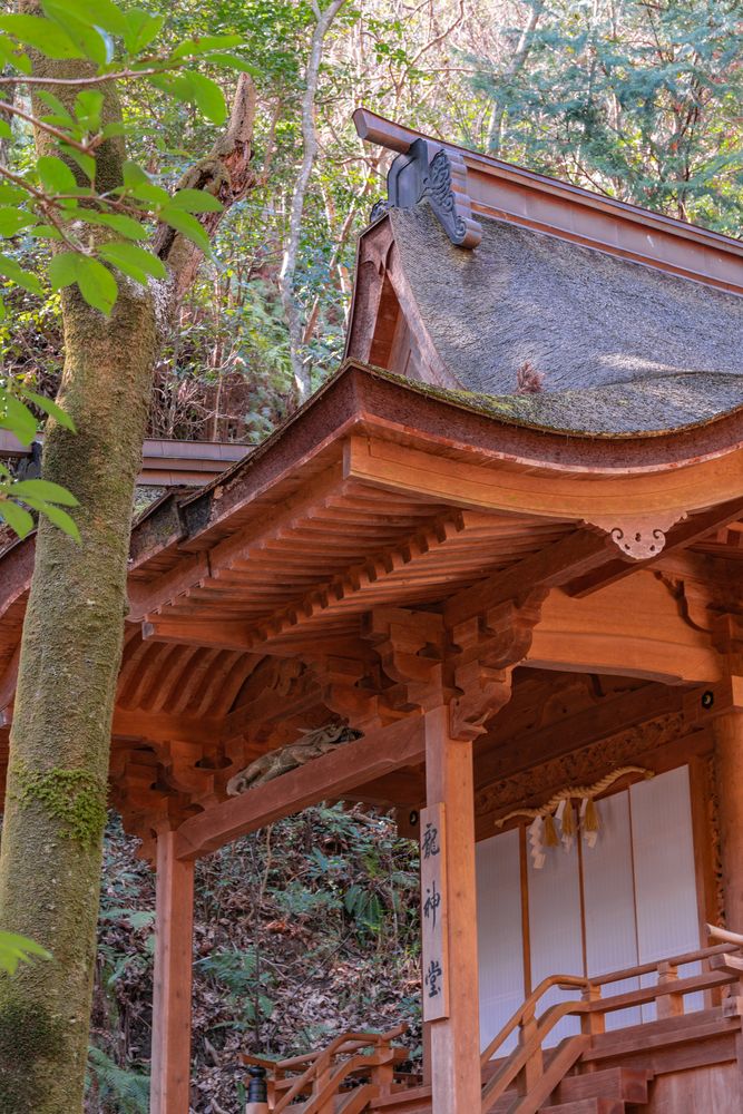 三瀧寺の画像 - 4枚目