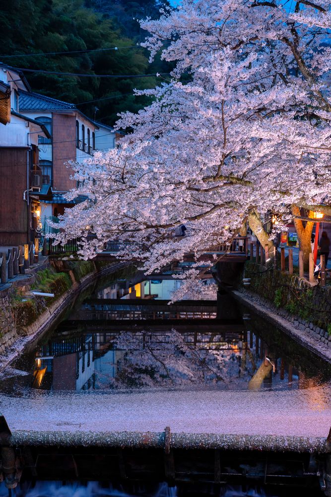 城崎温泉の画像 - 4枚目