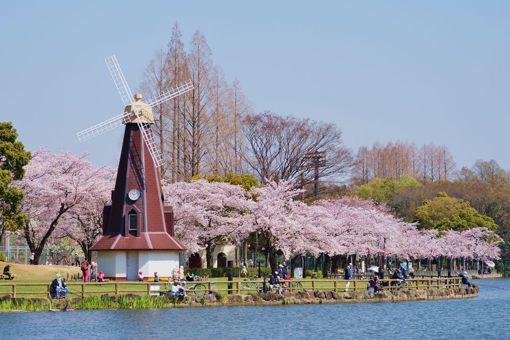 浮間公園の画像 - 2枚目