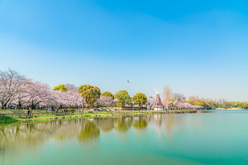 浮間公園の画像 - 4枚目